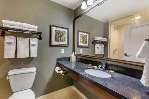 Best Western Plus Chandler Hotel & Suites - image 40