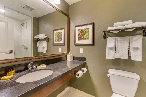 Best Western Plus Chandler Hotel & Suites - image 45