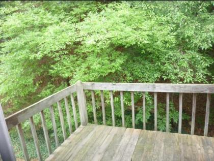 Chapel Hill InnTown - image 9