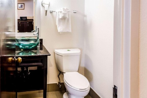 Comfort Inn Downtown Charleston - image 13
