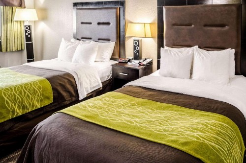 Comfort Inn Downtown Charleston - image 18