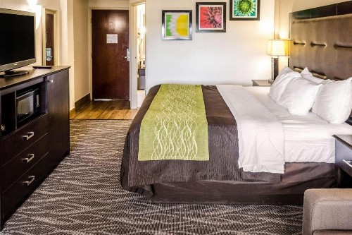 Comfort Inn Downtown Charleston - image 3