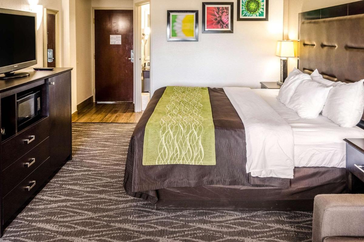 Comfort Inn Downtown Charleston - image 3