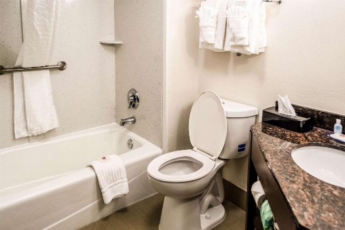 Comfort Inn Downtown Charleston - image 4