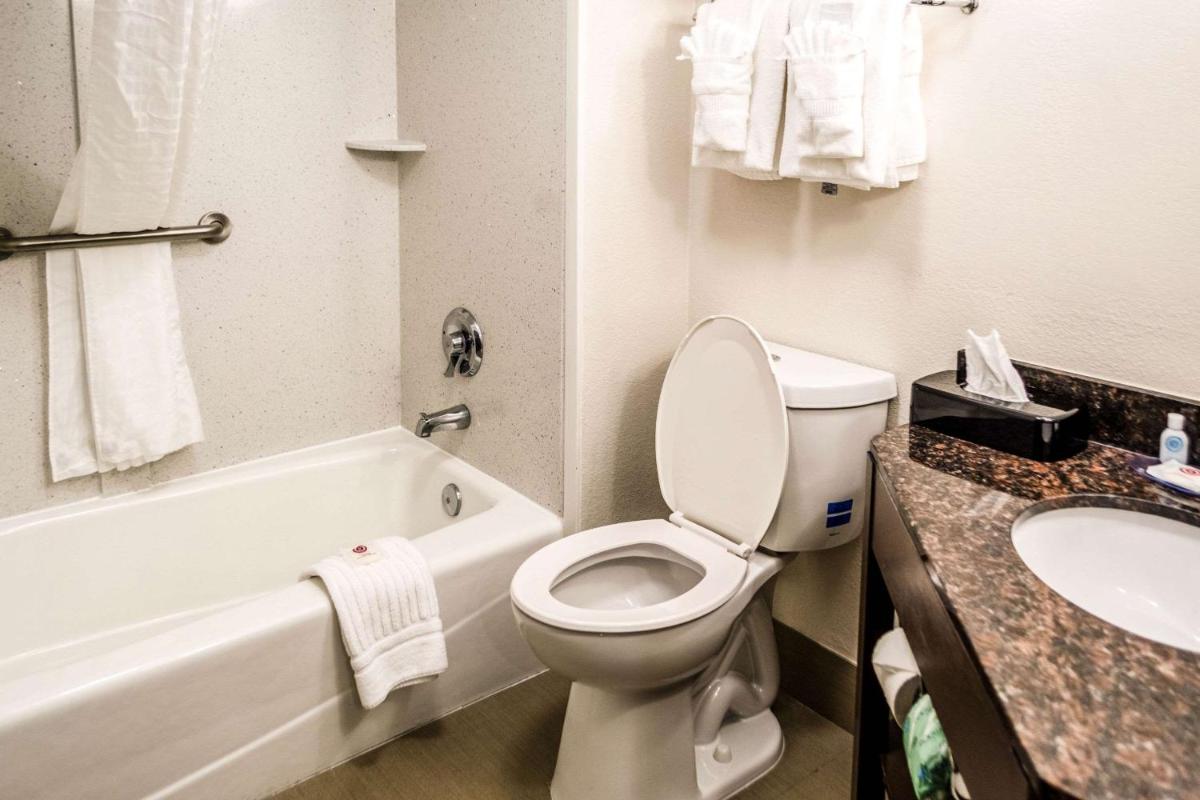 Comfort Inn Downtown Charleston - image 4