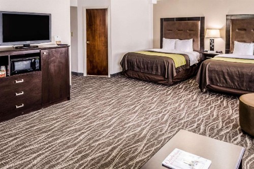 Comfort Inn Downtown Charleston - image 5