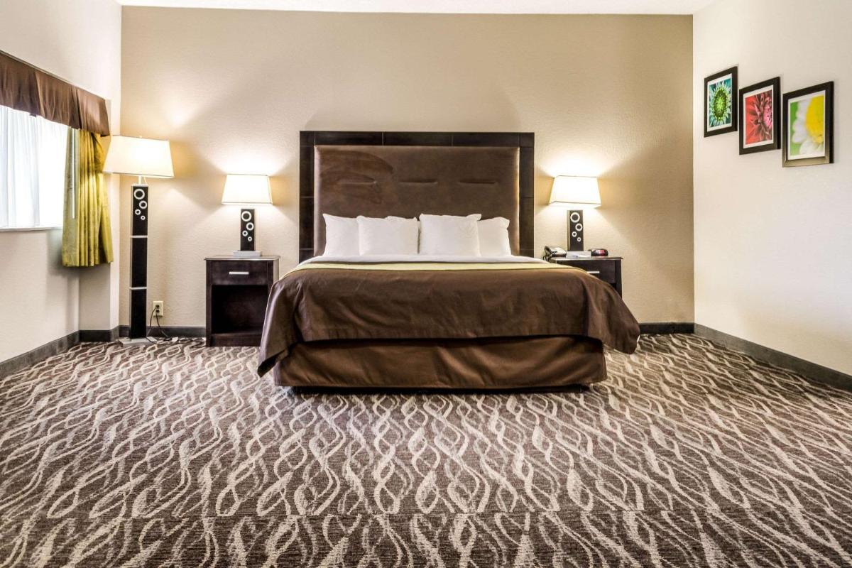 Comfort Inn Downtown Charleston - image 6