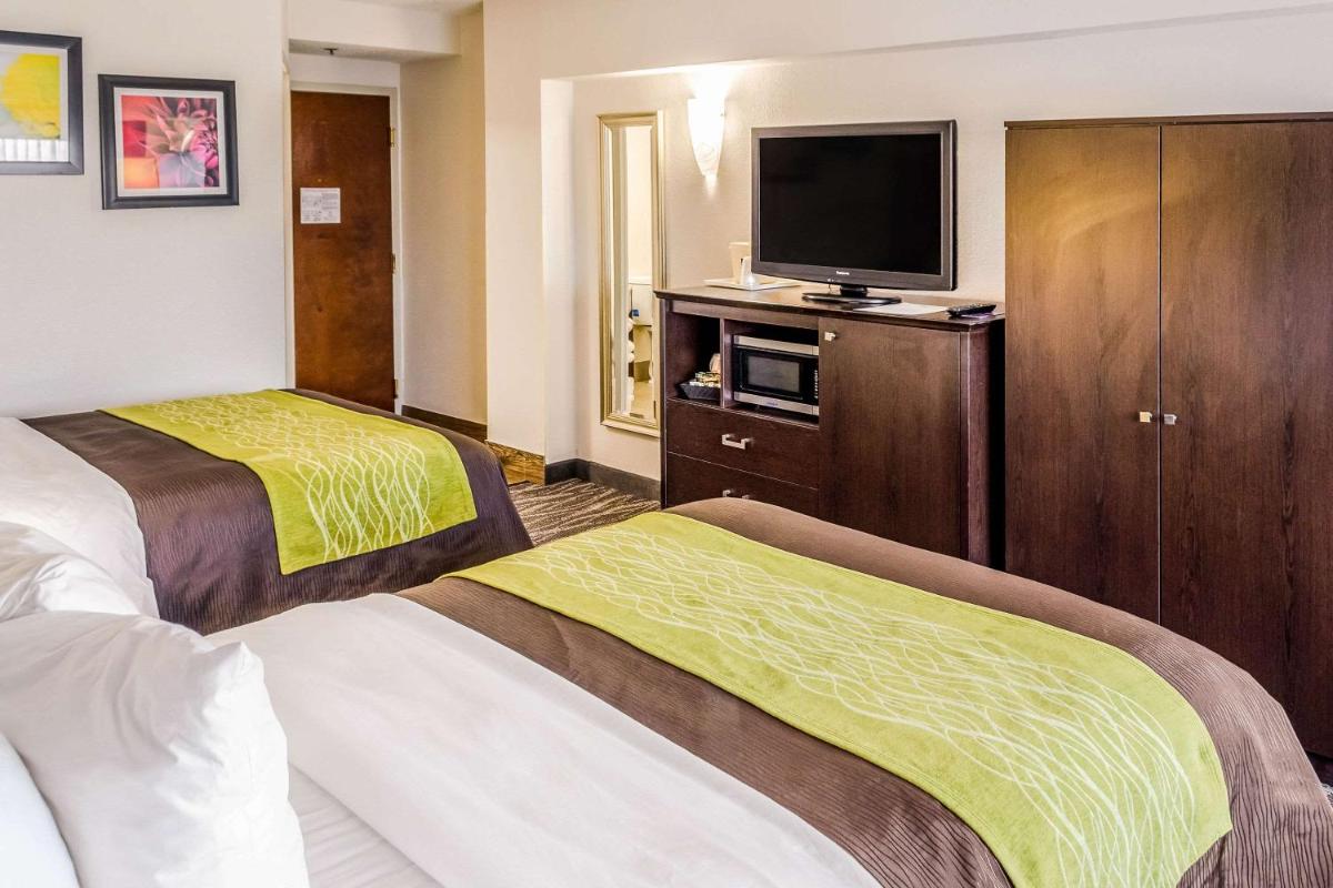 Comfort Inn Downtown Charleston - image 7