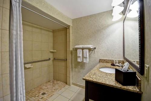 Embassy Suites Charleston - Historic District - image 21