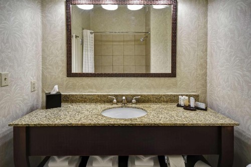 Embassy Suites Charleston - Historic District - image 27