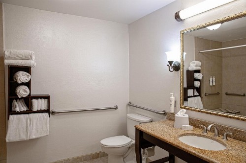 Hampton Inn Charleston-Historic District - image 20