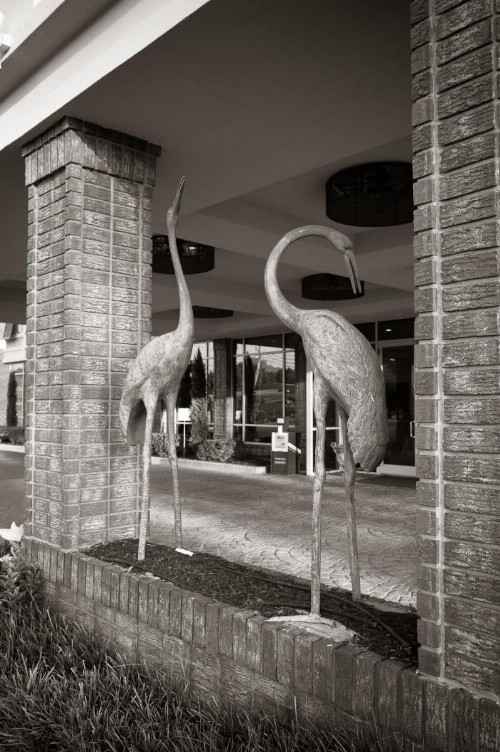 Town & Country Inn and Suites - image 15
