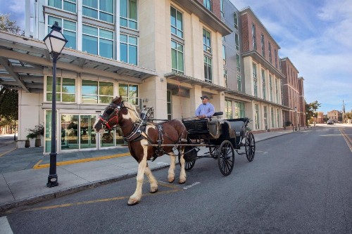 Holiday Inn Charleston Historic Downtown an IHG Hotel - image 20