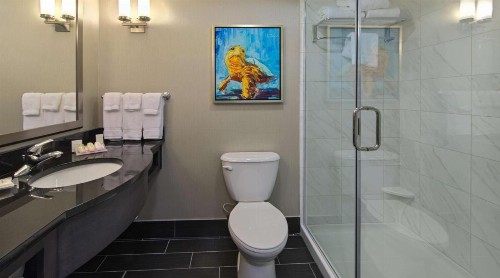 Hilton Garden Inn Charleston Waterfront/Downtown - image 33