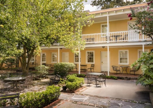 The Jasmine House - image 19