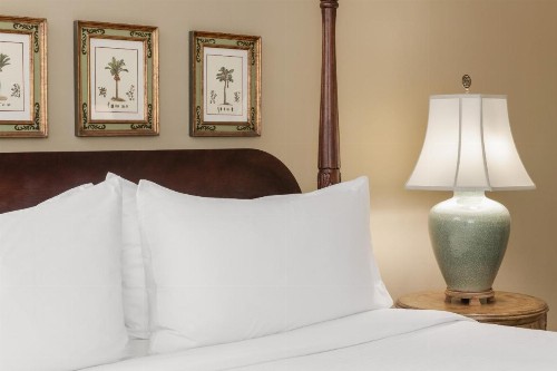 Indigo Inn - image 3