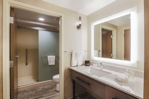 Homewood Suites By Hilton Charleston Historic District - image 9