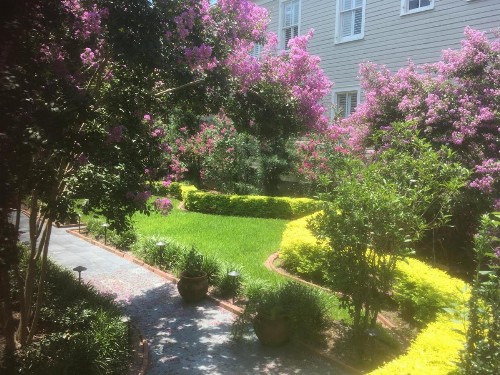 22 Charlotte - image 23