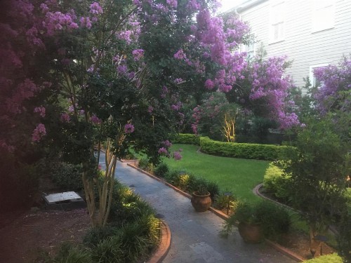 22 Charlotte - image 43