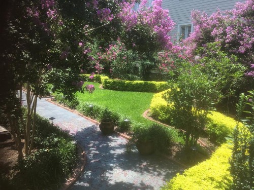 22 Charlotte - image 50