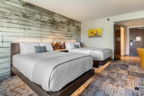 Cambria Hotel Charleston Riverview - image 25
