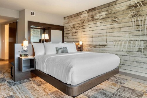 Cambria Hotel Charleston Riverview - image 33