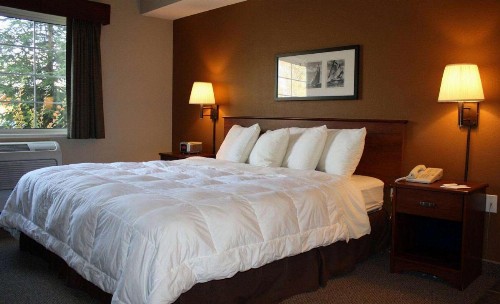 AmericInn by Wyndham Charlevoix - image 3