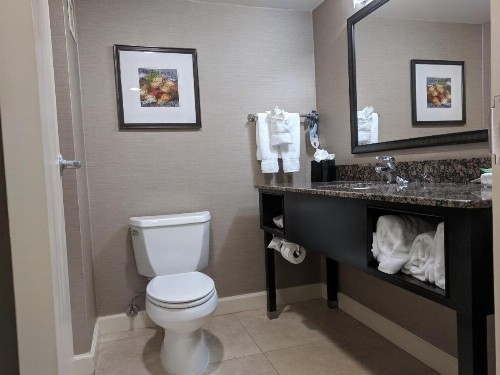 Holiday Inn Charlotte University an IHG Hotel - image 15