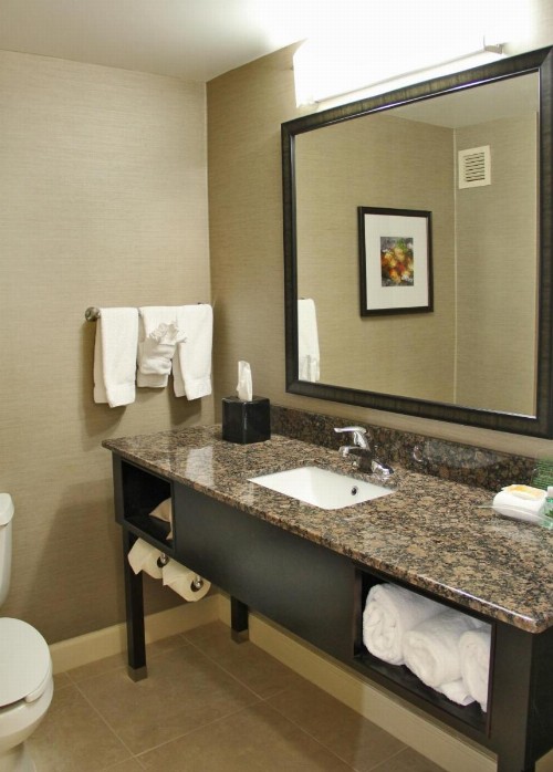 Holiday Inn Charlotte University an IHG Hotel - image 3