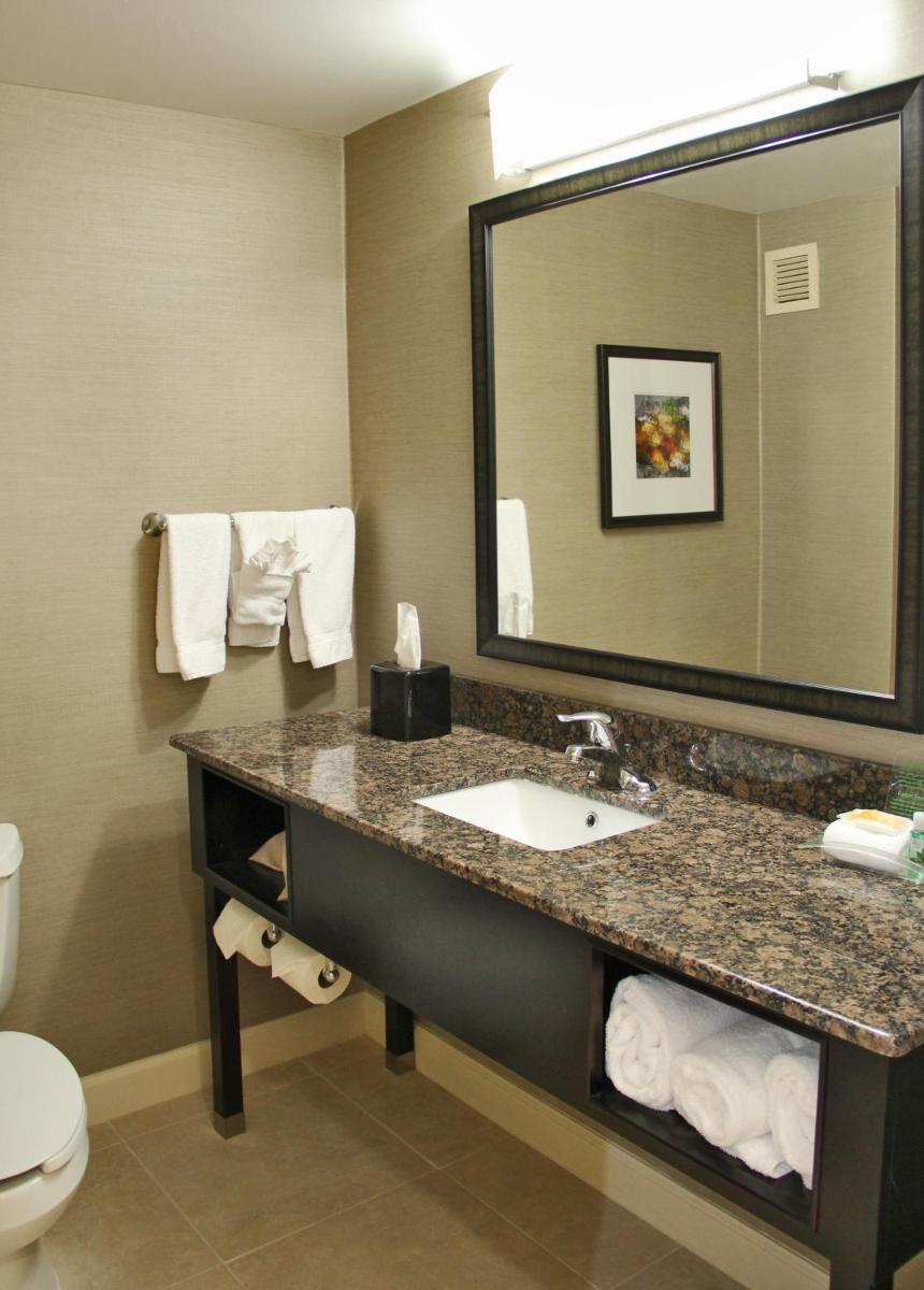 Holiday Inn Charlotte University an IHG Hotel - image 3