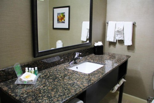 Holiday Inn Charlotte University an IHG Hotel - image 7