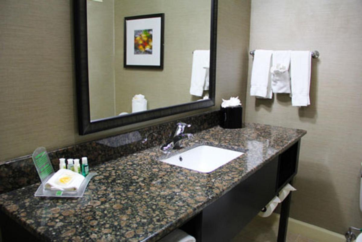 Holiday Inn Charlotte University an IHG Hotel - image 7