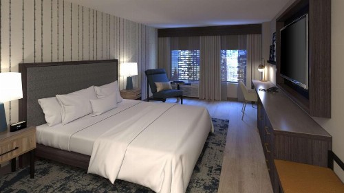 Holiday Inn Charlotte Center City an IHG Hotel - image 18