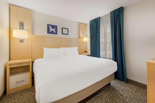 Sonesta ES Suites Charlotte Arrowood - image 36