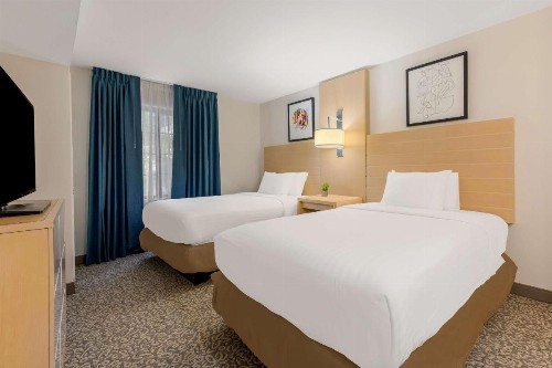 Sonesta ES Suites Charlotte Arrowood - image 37