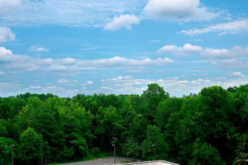 Sheraton Charlotte Airport - image 15