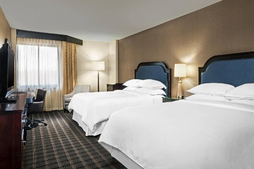 Sheraton Charlotte Airport - image 9