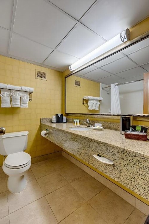 Best Western Plus Charlotte Matthews Hotel - image 34