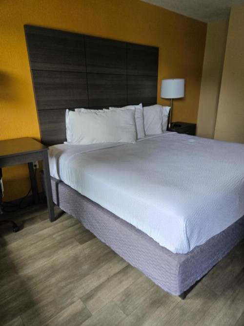 Days Inn by Wyndham Charlotte Northlake - image 11