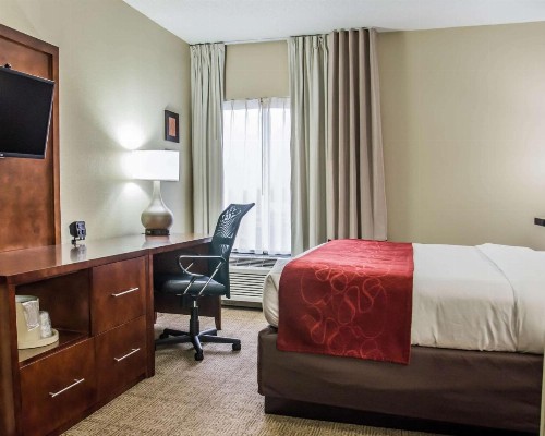 Comfort Suites Research Park - University - image 10