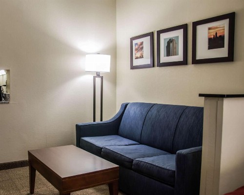 Comfort Suites Research Park - University - image 17