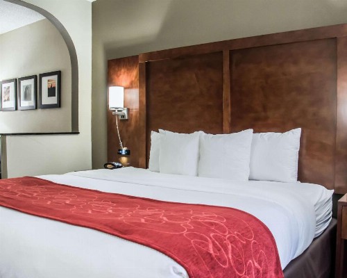 Comfort Suites Research Park - University - image 19