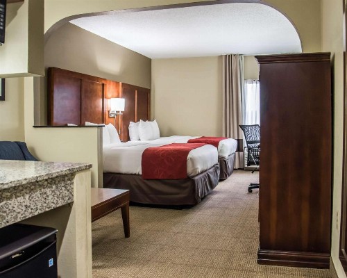 Comfort Suites Research Park - University - image 20