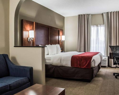 Comfort Suites Research Park - University - image 22