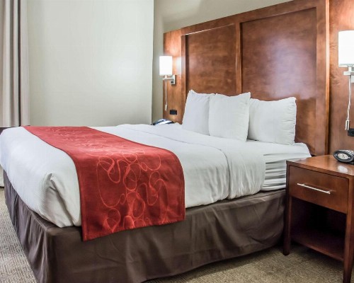 Comfort Suites Research Park - University - image 27