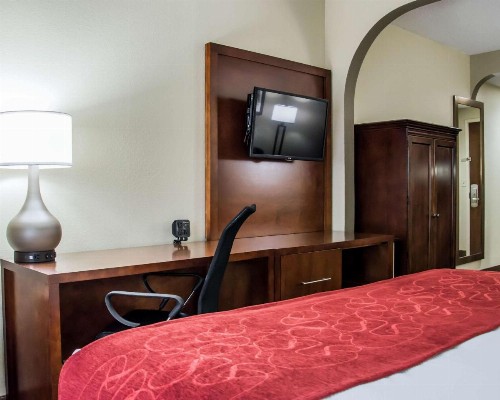 Comfort Suites Research Park - University - image 9