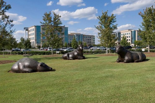 Staybridge Suites - Charlotte Ballantyne an IHG Hotel - image 14