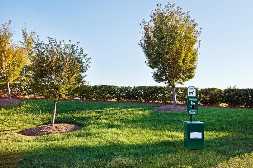 Staybridge Suites - Charlotte Ballantyne an IHG Hotel - image 4