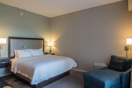 Hampton Inn & Suites Charlotte/Ballantyne Nc - image 35