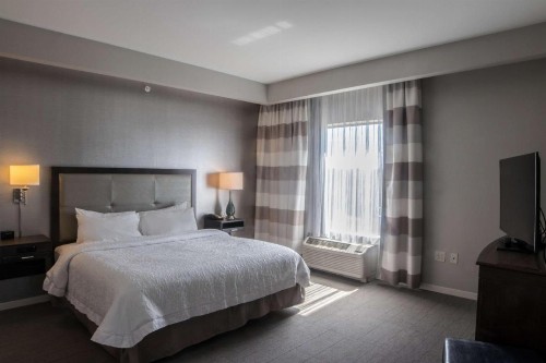 Hampton Inn & Suites Charlotte/Ballantyne Nc - image 38